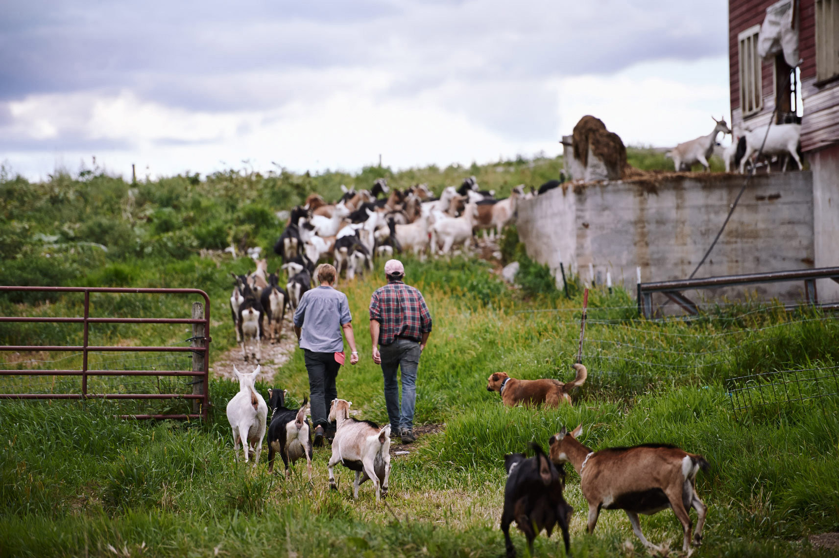 Michael_Warren_Farm_To_Table_13.JPG
