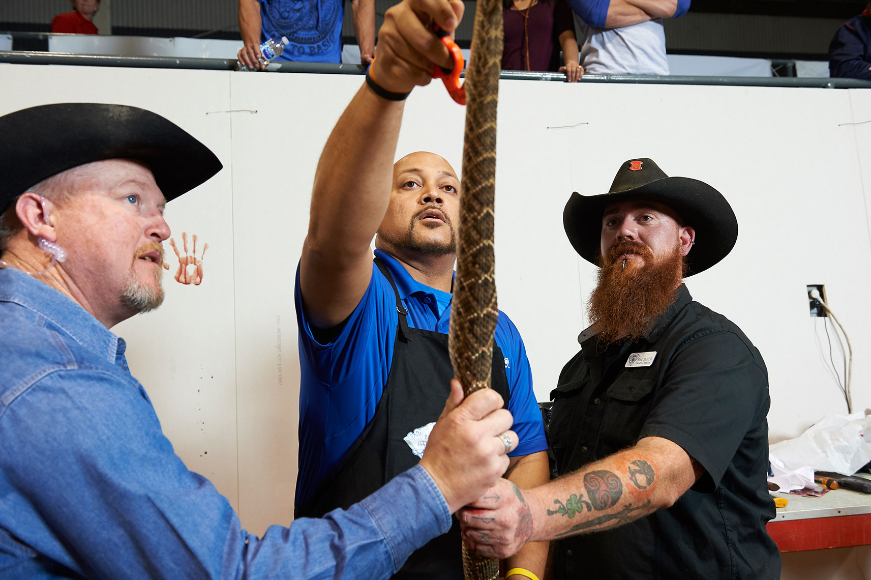 Michael_Warren_Rattlesnake_13.JPG